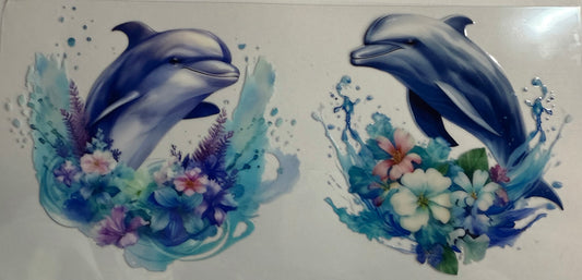 Dolphin 2