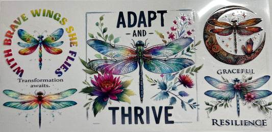 Dragonfly adapt and Thrive